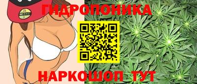 круглые Бийск