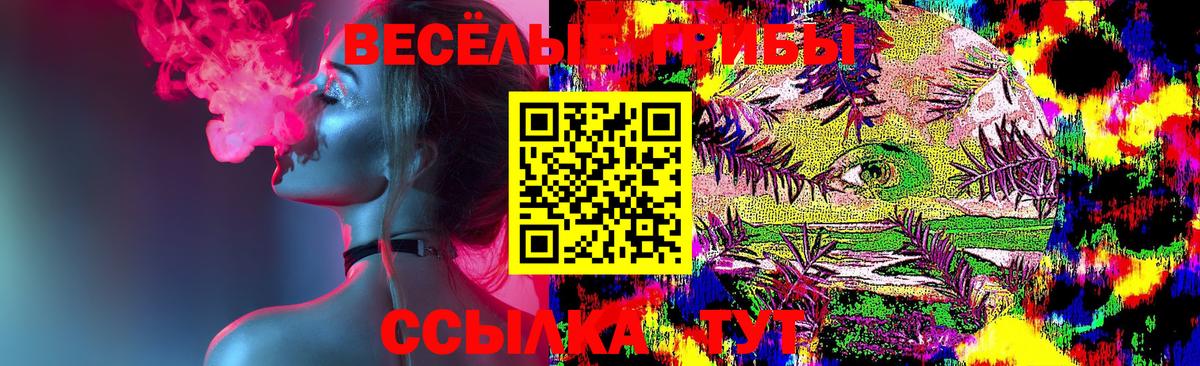 Керчь  Галлюциногенные грибы Cubensis  Вход с VPN 