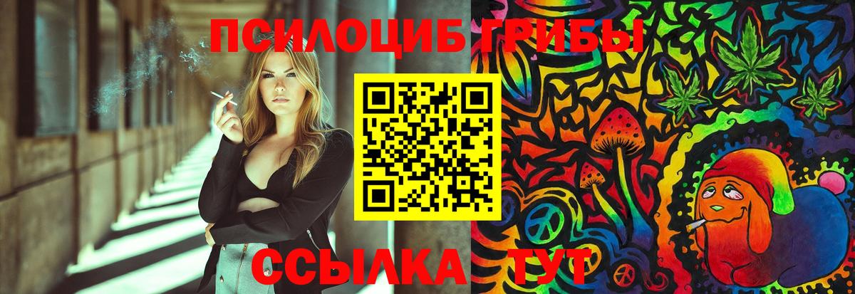 Галлюциногенные грибы Psilocybine cubensis Керчь